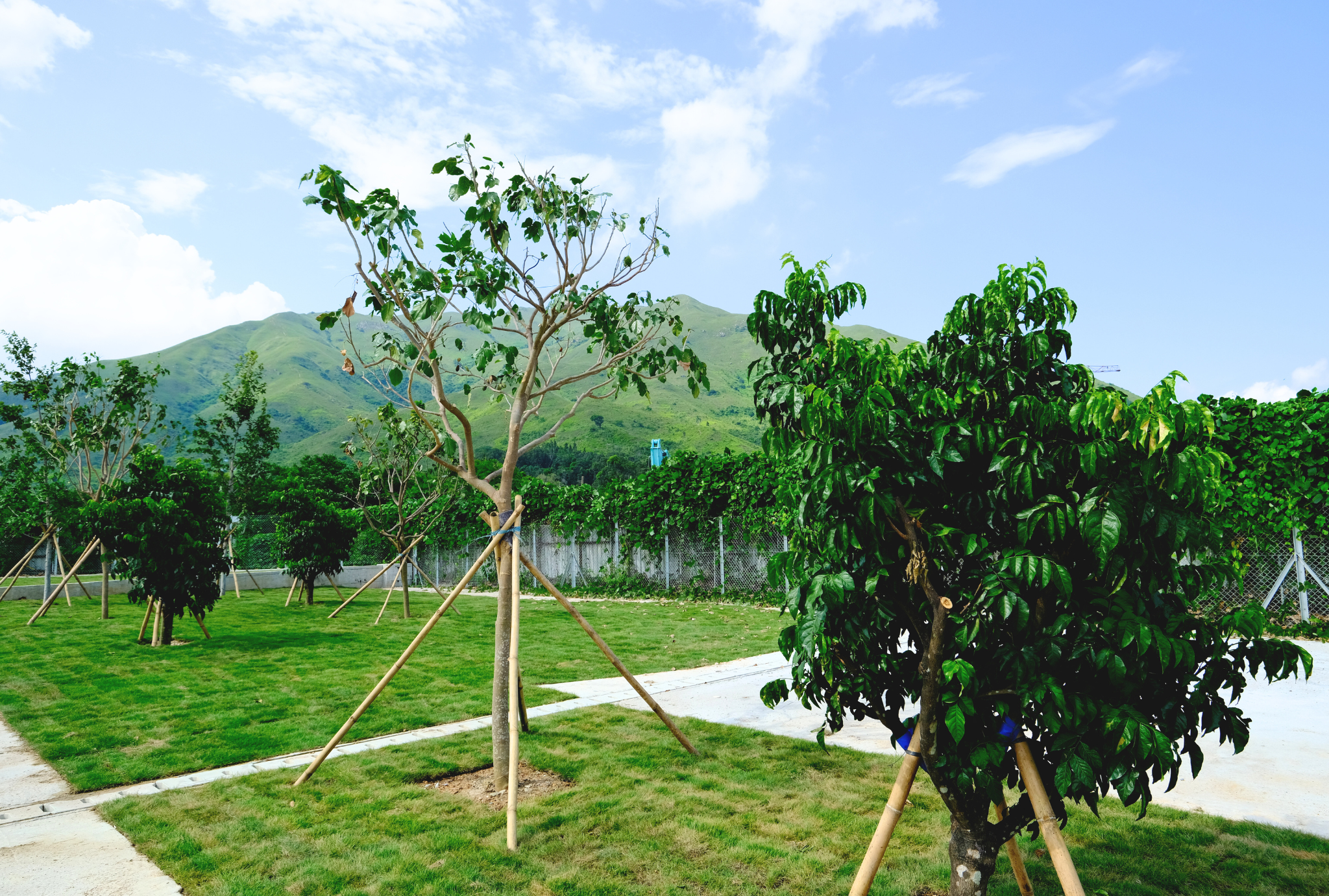  Site Photo